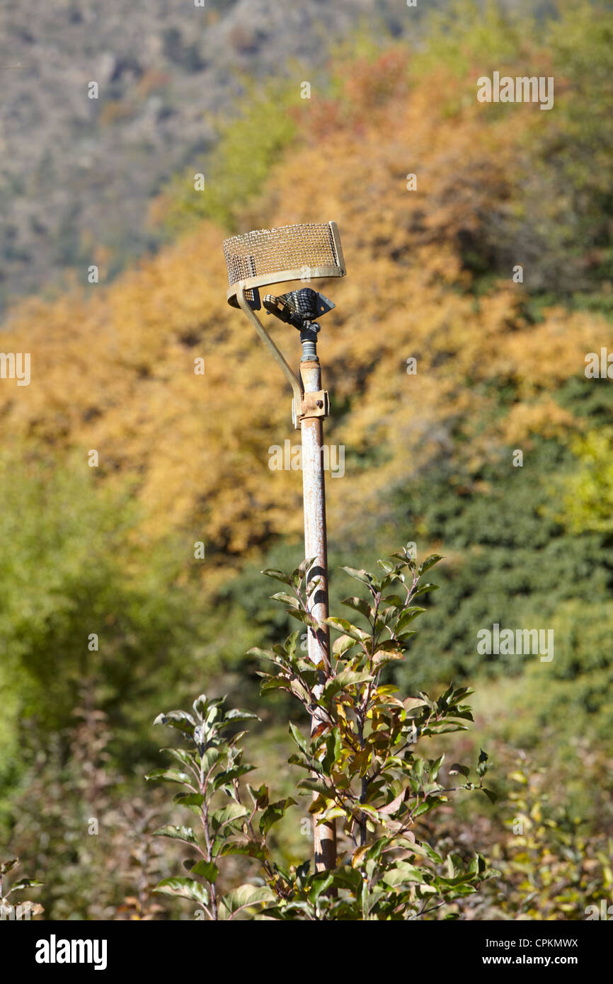 L'eau d'irrigation, à tuyau utilisé pour la pulvérisation des vergers de pommiers cultivés intensivement dans l'Alto Adige, Italie. Banque D'Images