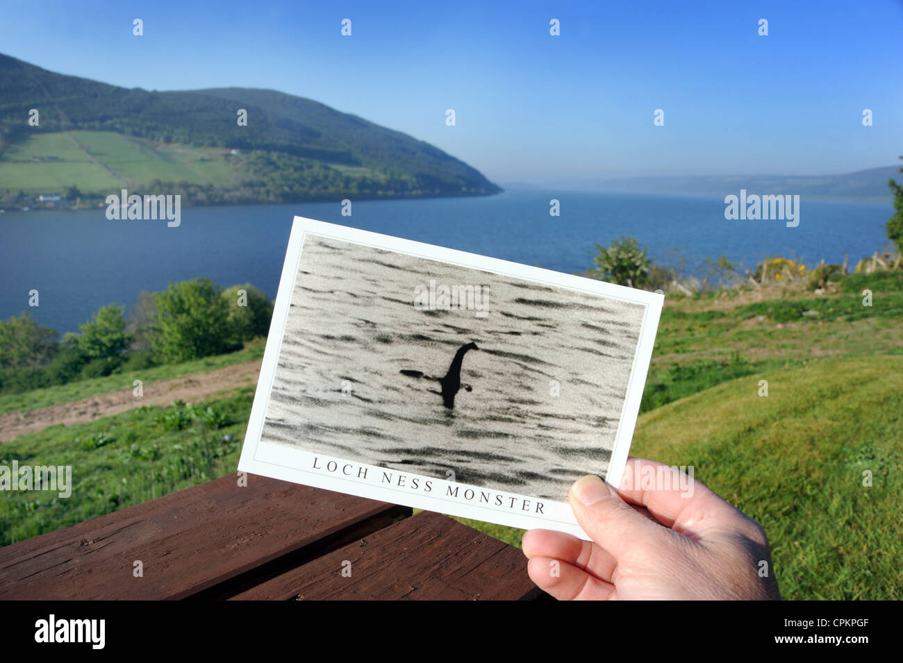 Carte postale montrant SOUVENIRS FAMEUX 'SURGEONS PHOTOGRAPHIE' DE LA LOCH NESS AVEC LE Loch Ness en Écosse EN ARRIÈRE-PLAN UK Banque D'Images