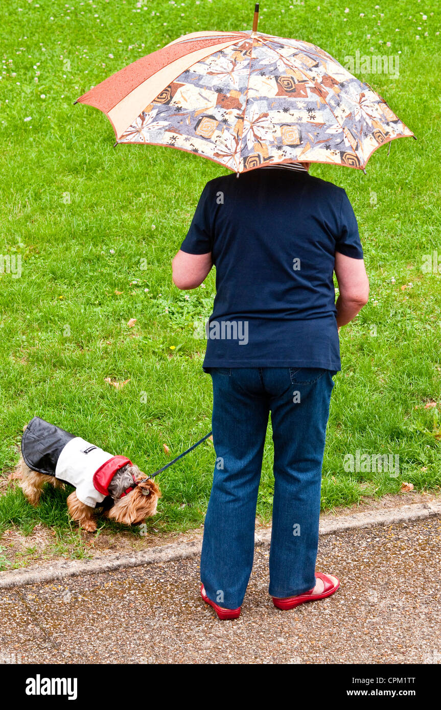 Vue de dessus de vieille femme avec parapluie avec chien en laisse - France. Banque D'Images