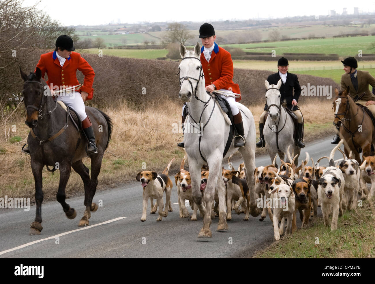 Master fox hunter mène la meute de chiens sur les routes autour de Grand Stainton, dans le comté de Durham Banque D'Images