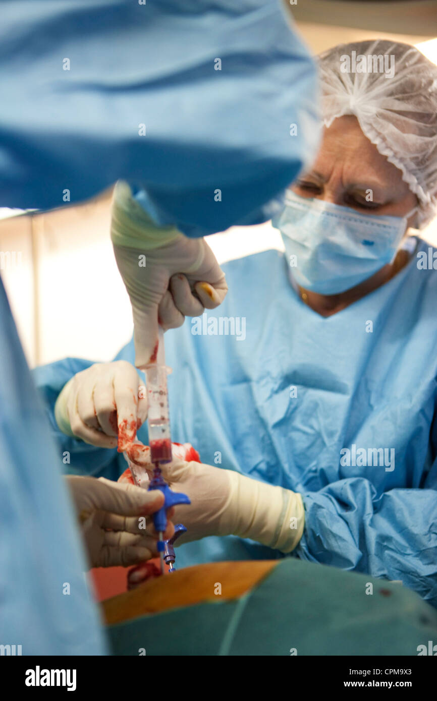 Ponction de moelle osseuse Banque de photographies et d’images à haute résolution Alamy