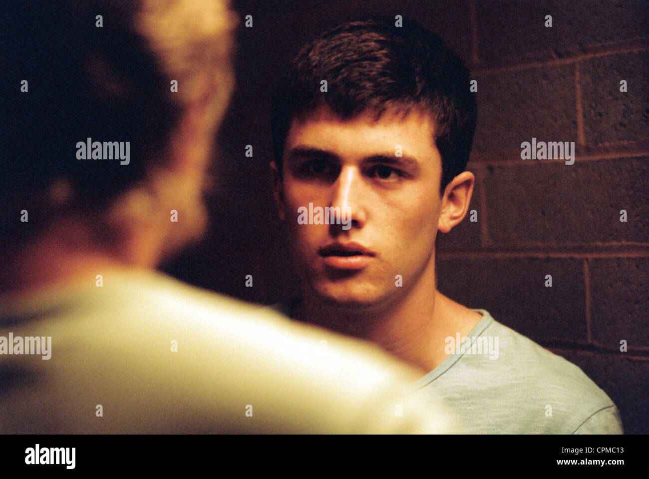 Animal Kingdom Banque D'Images