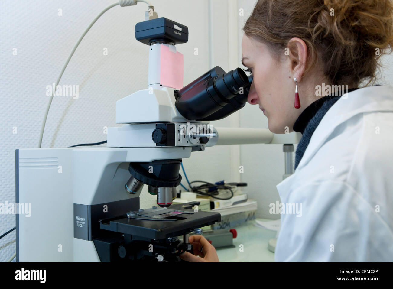 MICROSCOPE Banque D'Images