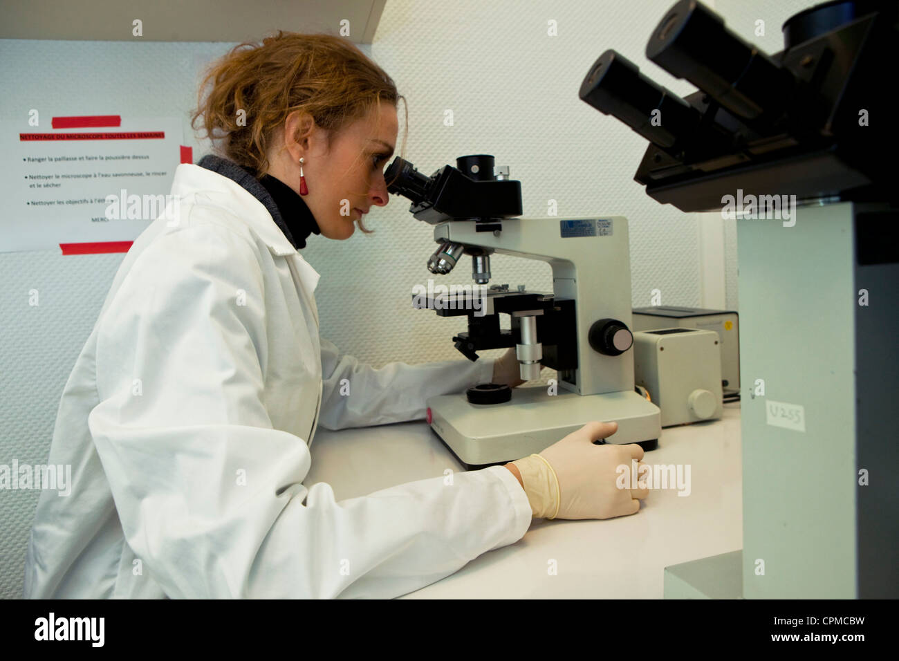 MICROSCOPE Banque D'Images