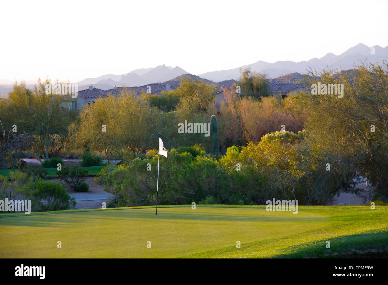 Robert Trent Jones Jr. cours conçu à las'Golf Club, Mesa, AZ, États-Unis d'Amérique Banque D'Images