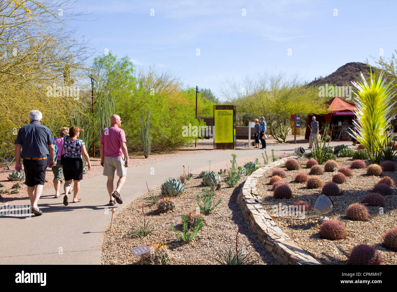 Cactus et autres plantes de la rétention d'eau des régions arides du monde entier à l'affiche au Jardin botanique du désert à Phoenix, AZ Banque D'Images