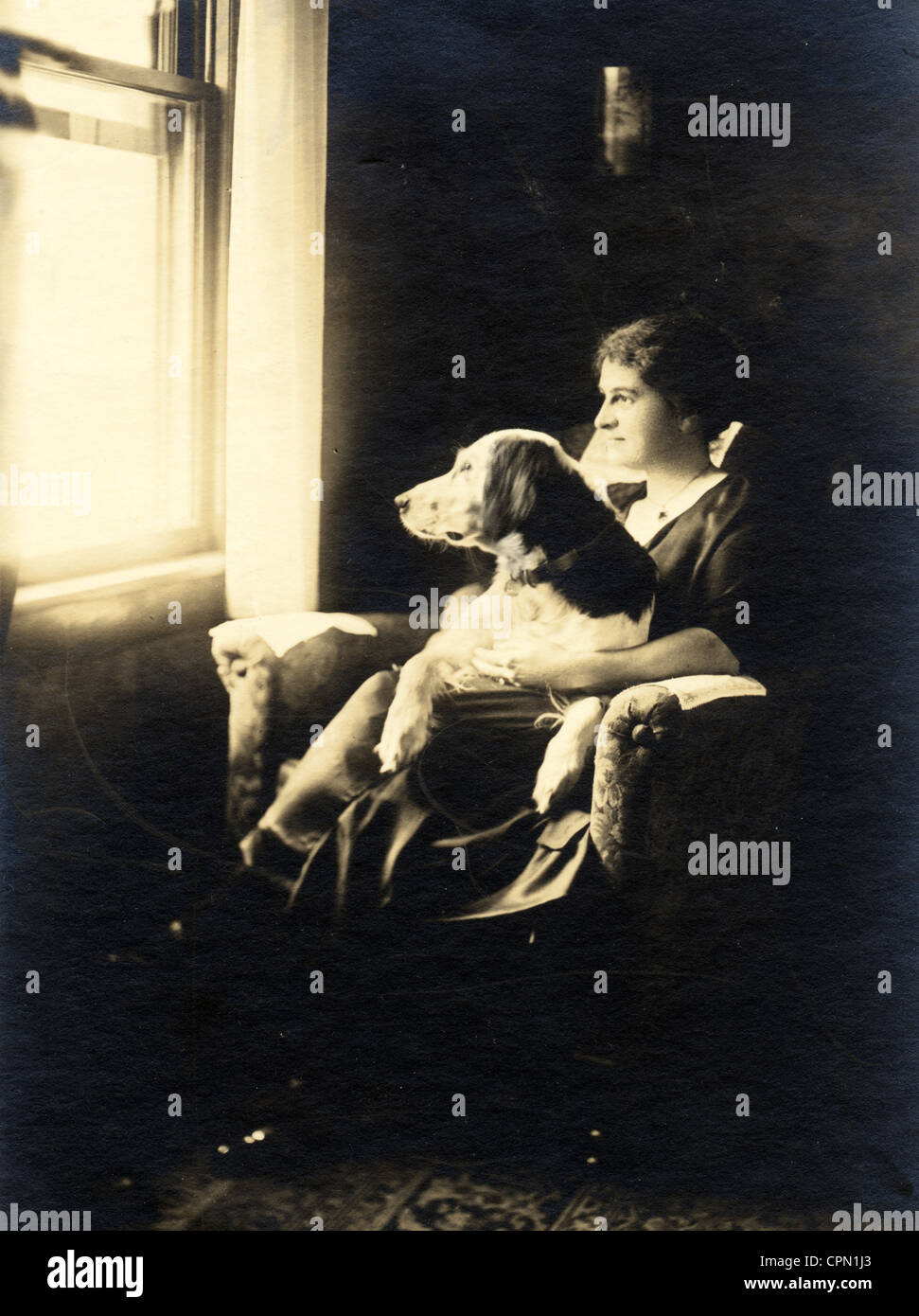 Femme & Retriever Dog en attente par la fenêtre Banque D'Images