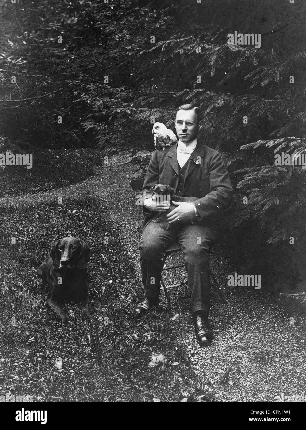 Jeune homme riche en plein air avec deux chiens & Parrot Banque D'Images