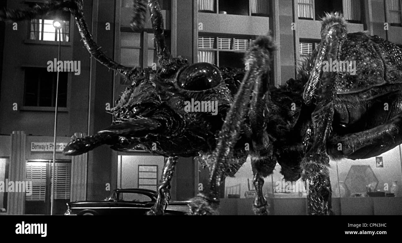 En matinée Banque D'Images