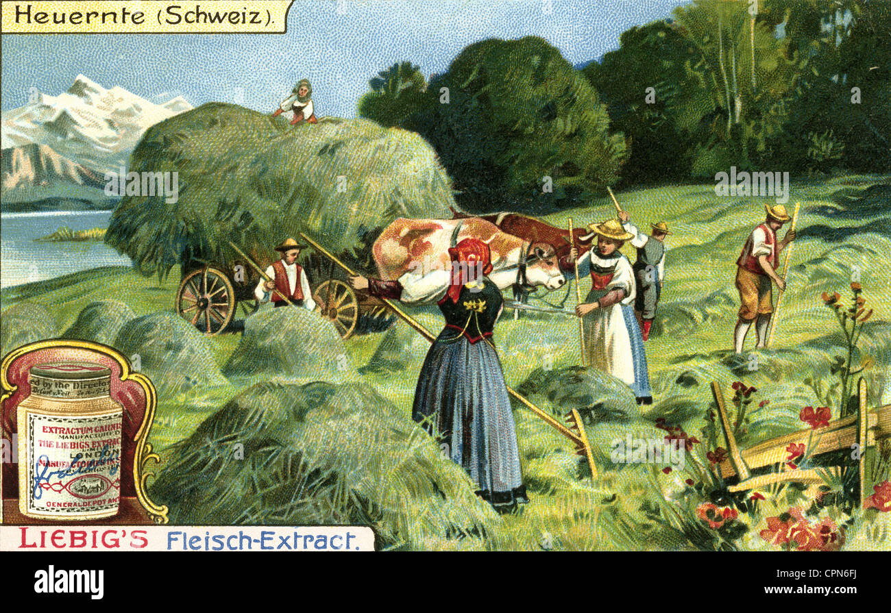 agriculture, récolte, récolte de foin, collection Liebig, Suisse, vers 1900, droits additionnels-Clearences-non disponible Banque D'Images