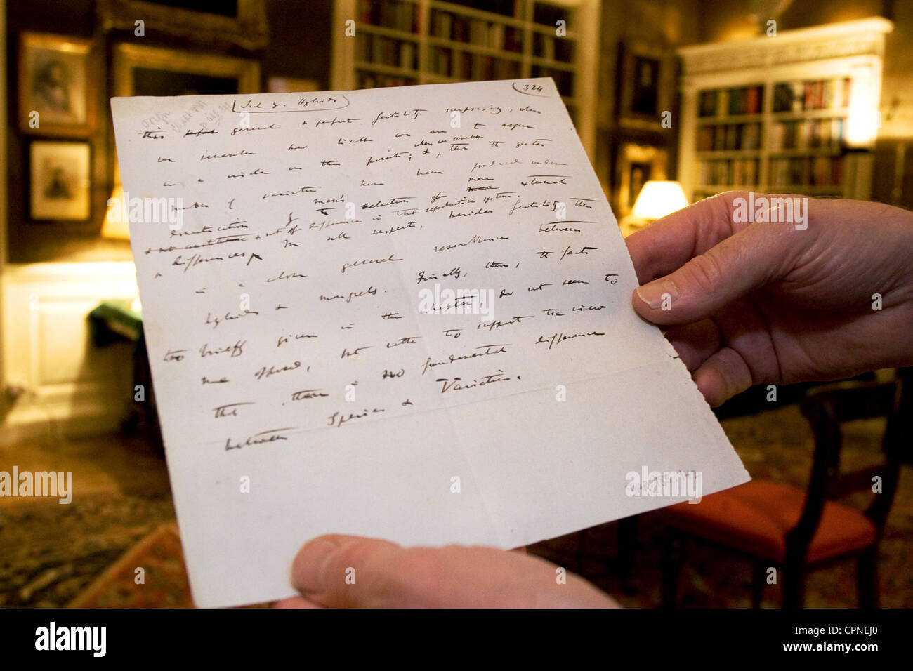 Une page de l'original manuscrit de Charles Darwin's "à l'origine des espèces'. Banque D'Images