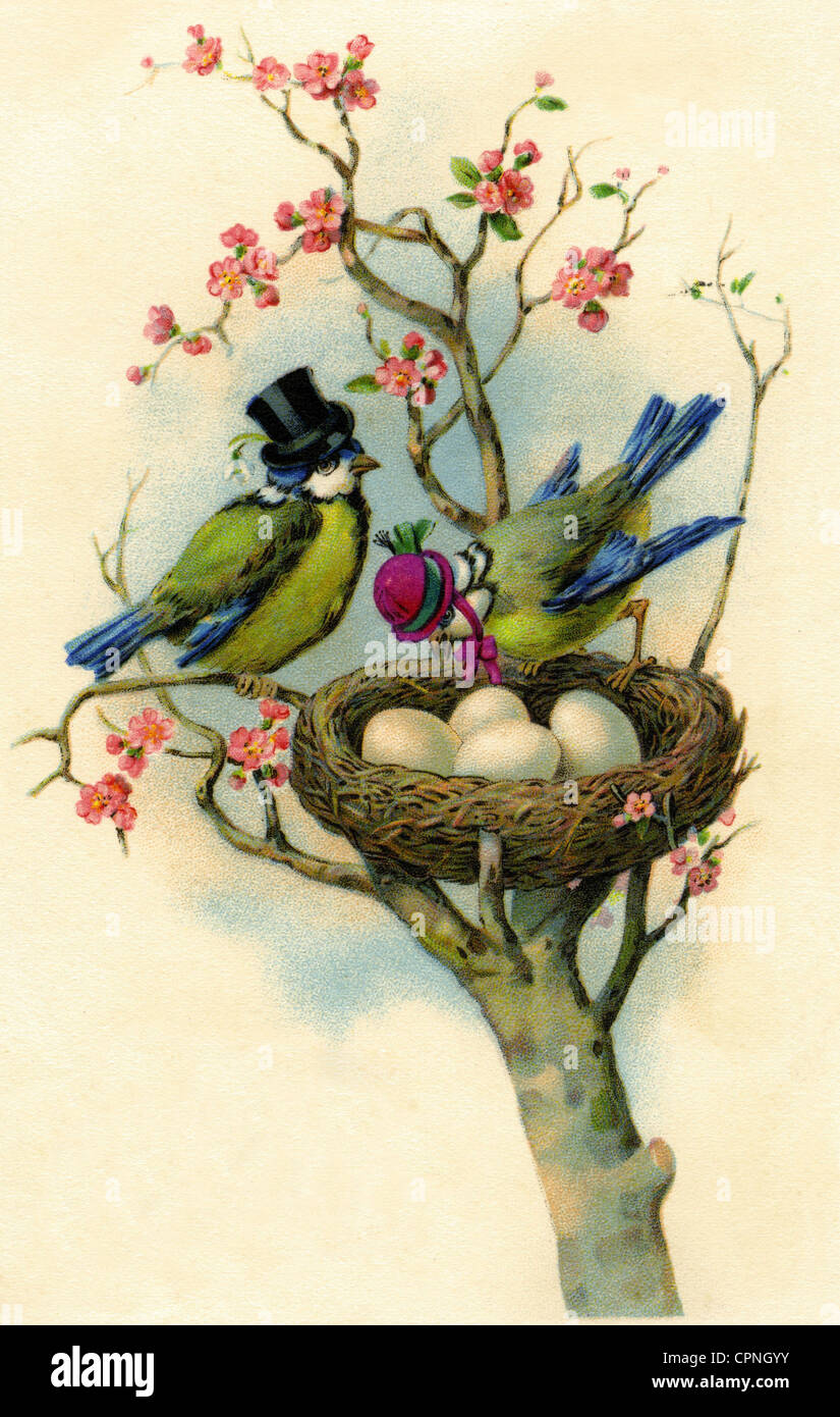 Carte Postale Oiseau Banque D Image Et Photos Alamy