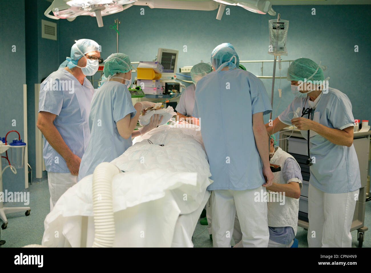 La greffe de peau Banque D'Images