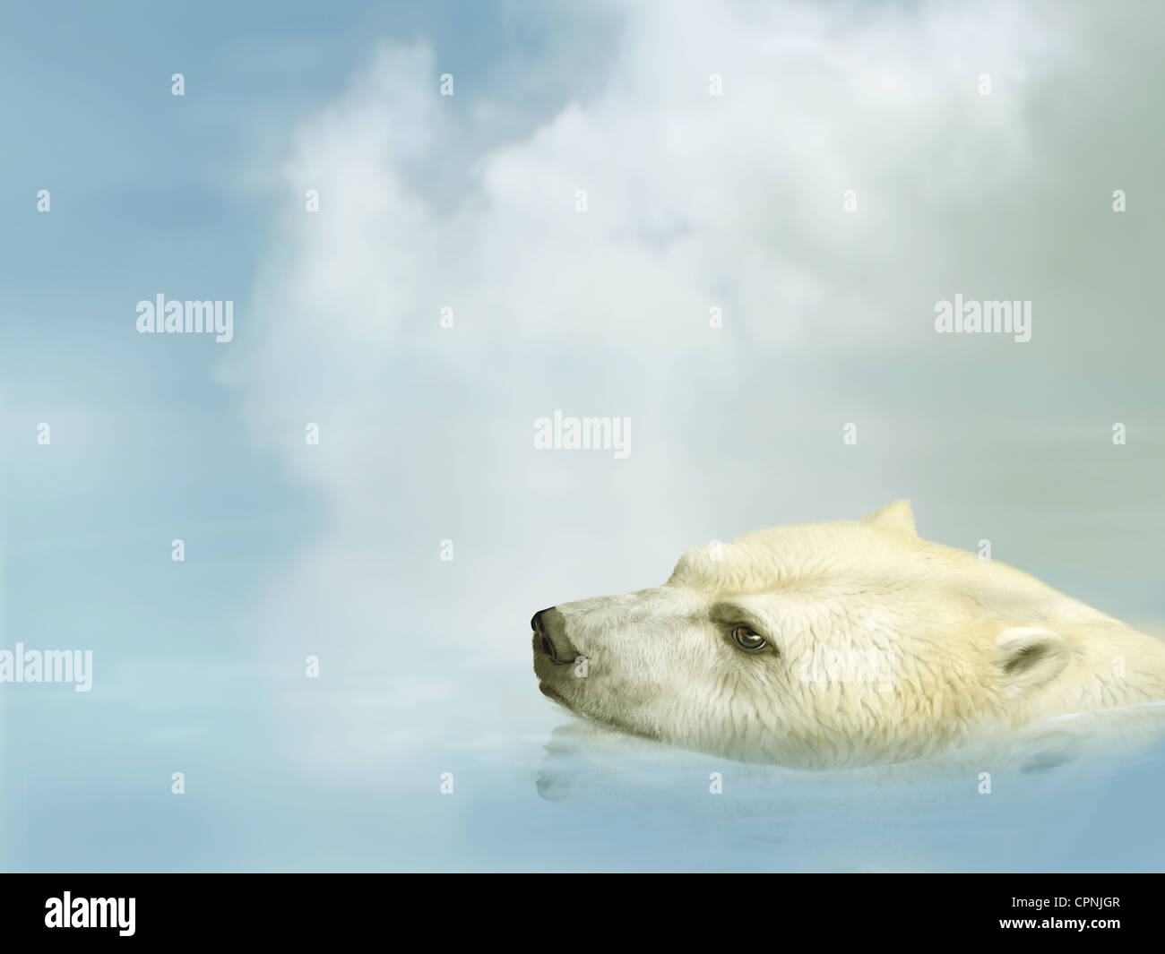 Illustration d'un ours polaire nager dans l'océan Banque D'Images