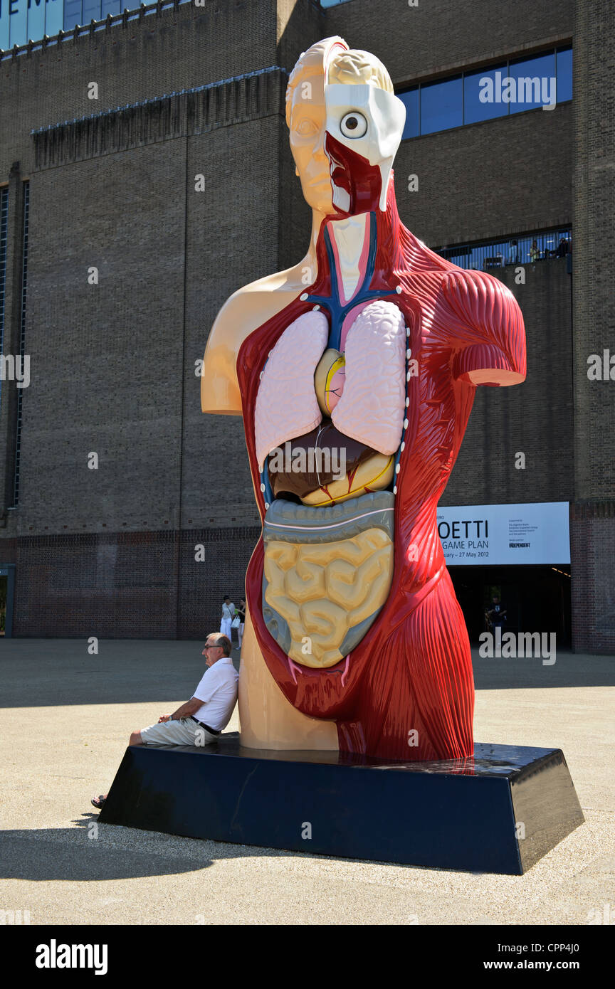 L'anatomie humaine modèle, Tate Modern, Londres, Royaume-Uni. Banque D'Images