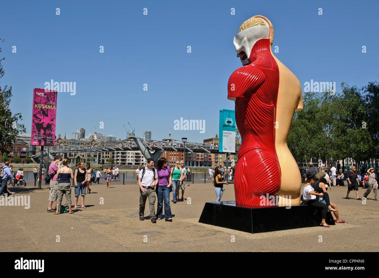 L'anatomie humaine modèle, Tate Modern, Londres, Royaume-Uni. Banque D'Images