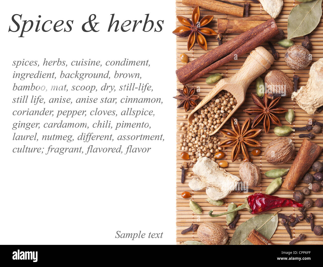 Arrière-plan avec les épices et fines herbes Banque D'Images