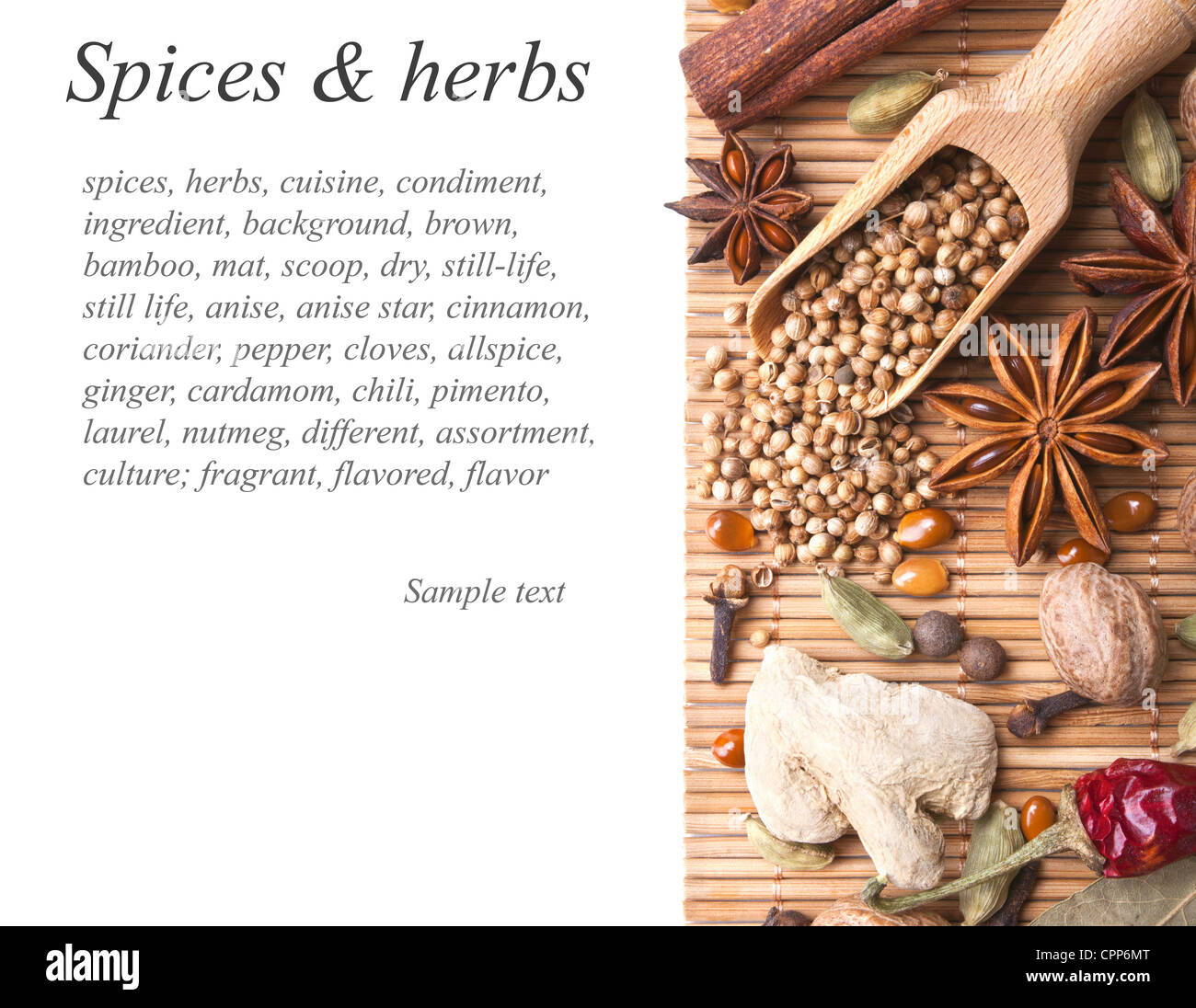 Arrière-plan avec les épices et fines herbes Banque D'Images