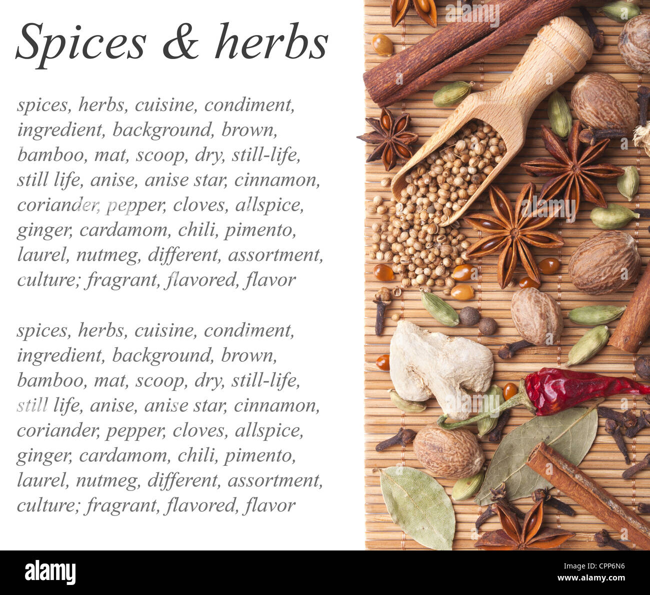 Arrière-plan avec les épices et fines herbes Banque D'Images