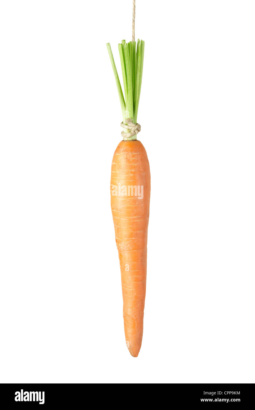 Pendaison de carotte Banque D'Images