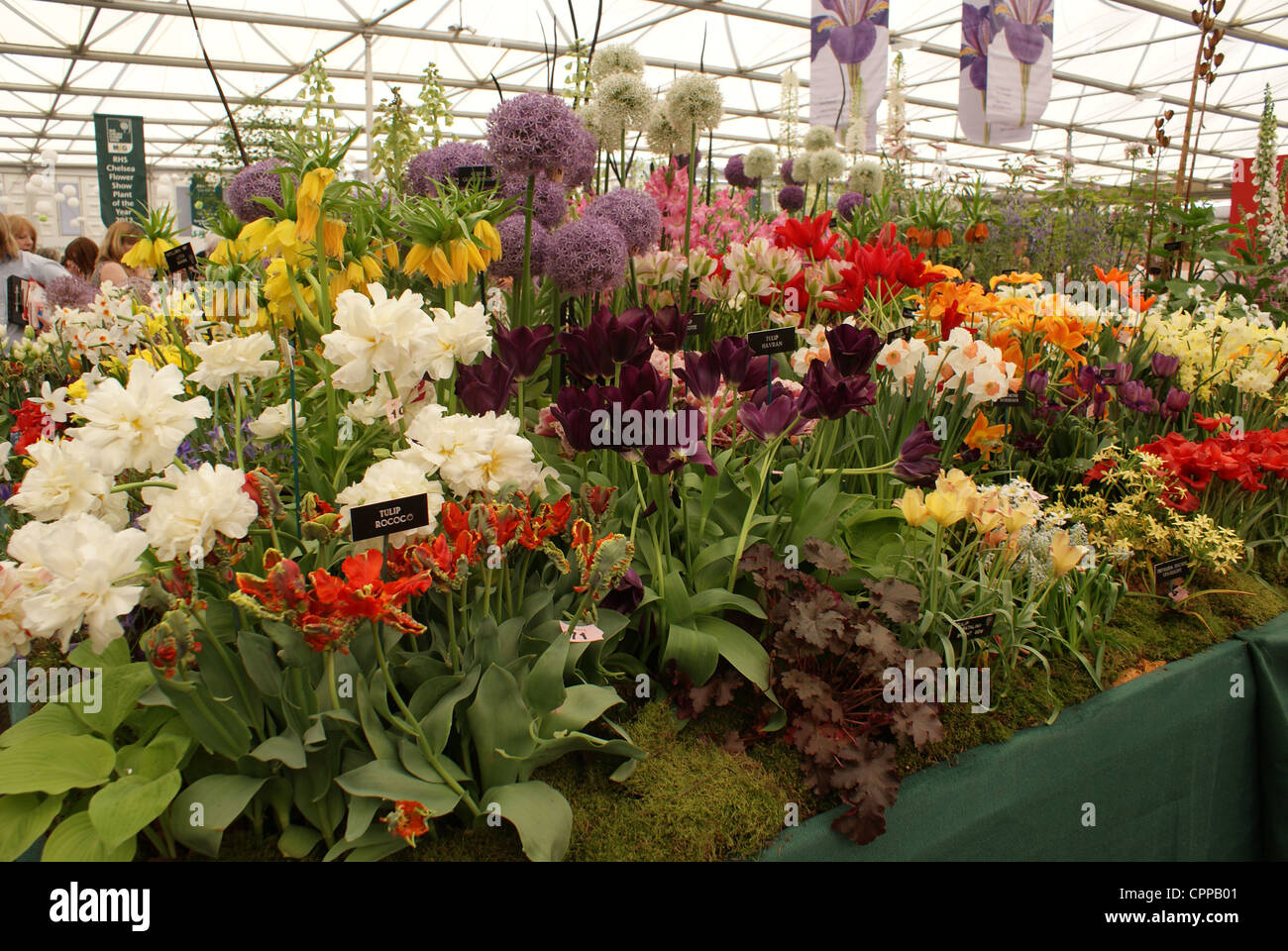 RHS Chelsea Flower Show, Royal Hospital, Chelsea, Londres 2012 Banque D'Images