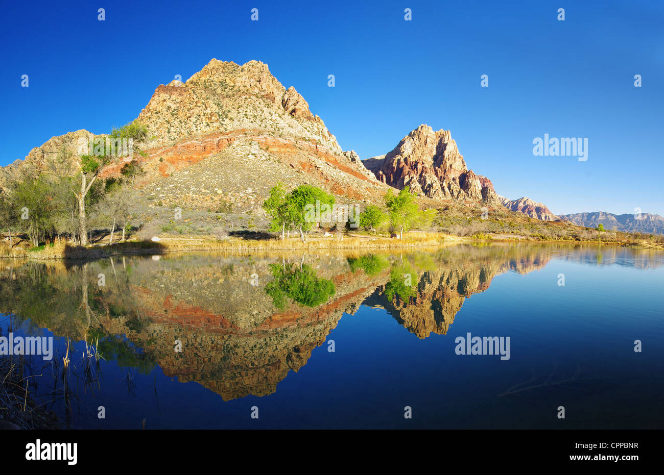 Desert Lake réflexion dans la zone de conservation de Red Rock Banque D'Images