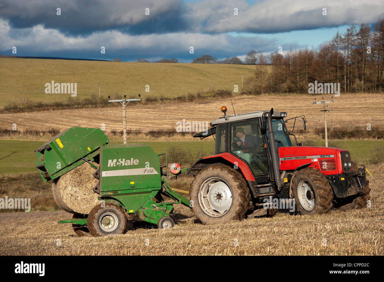 La mise en balles de paille avec McHale et balles rondes tracteur Massey Ferguson. Banque D'Images