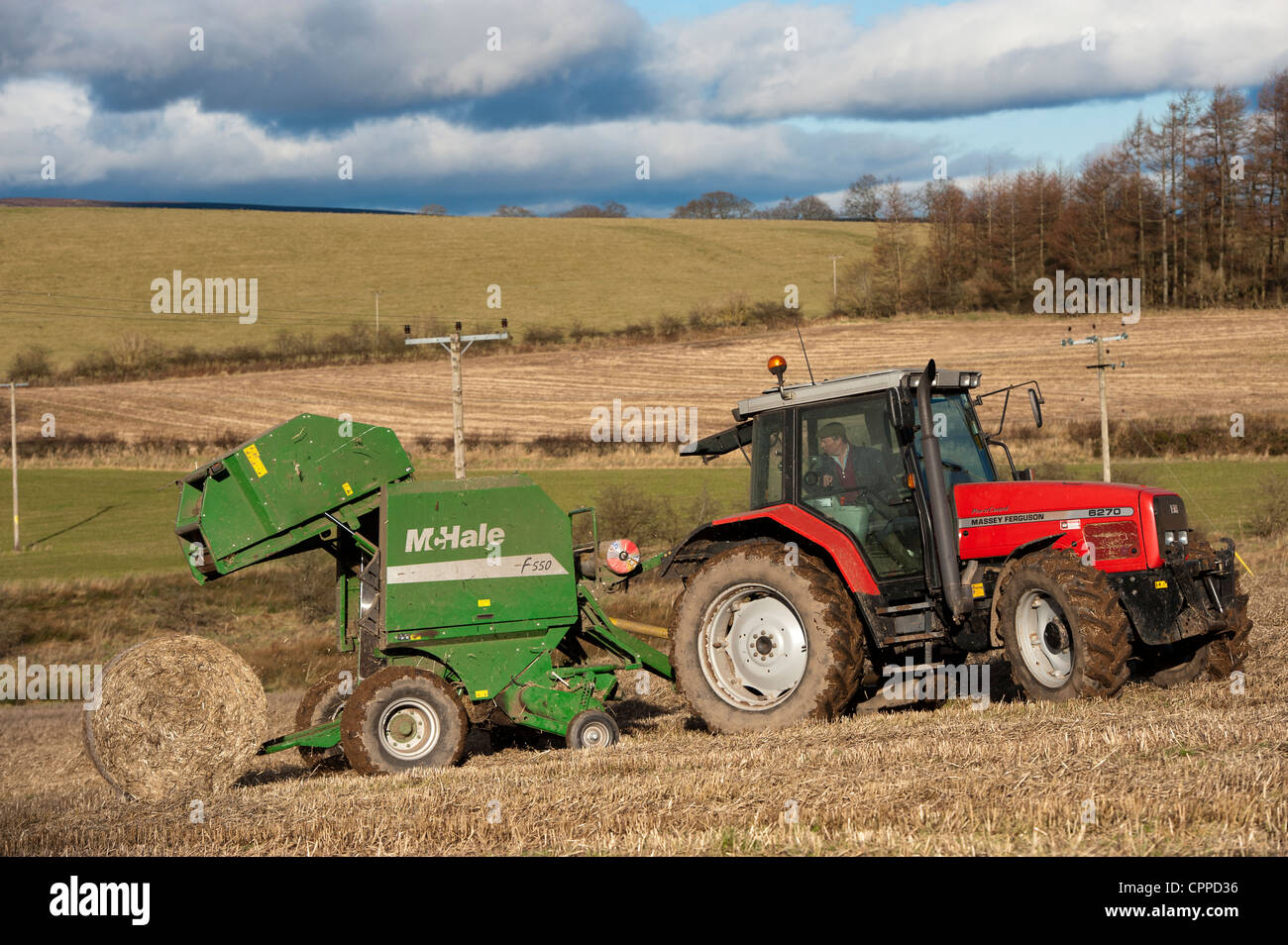 La mise en balles de paille avec McHale et balles rondes tracteur Massey Ferguson. Banque D'Images