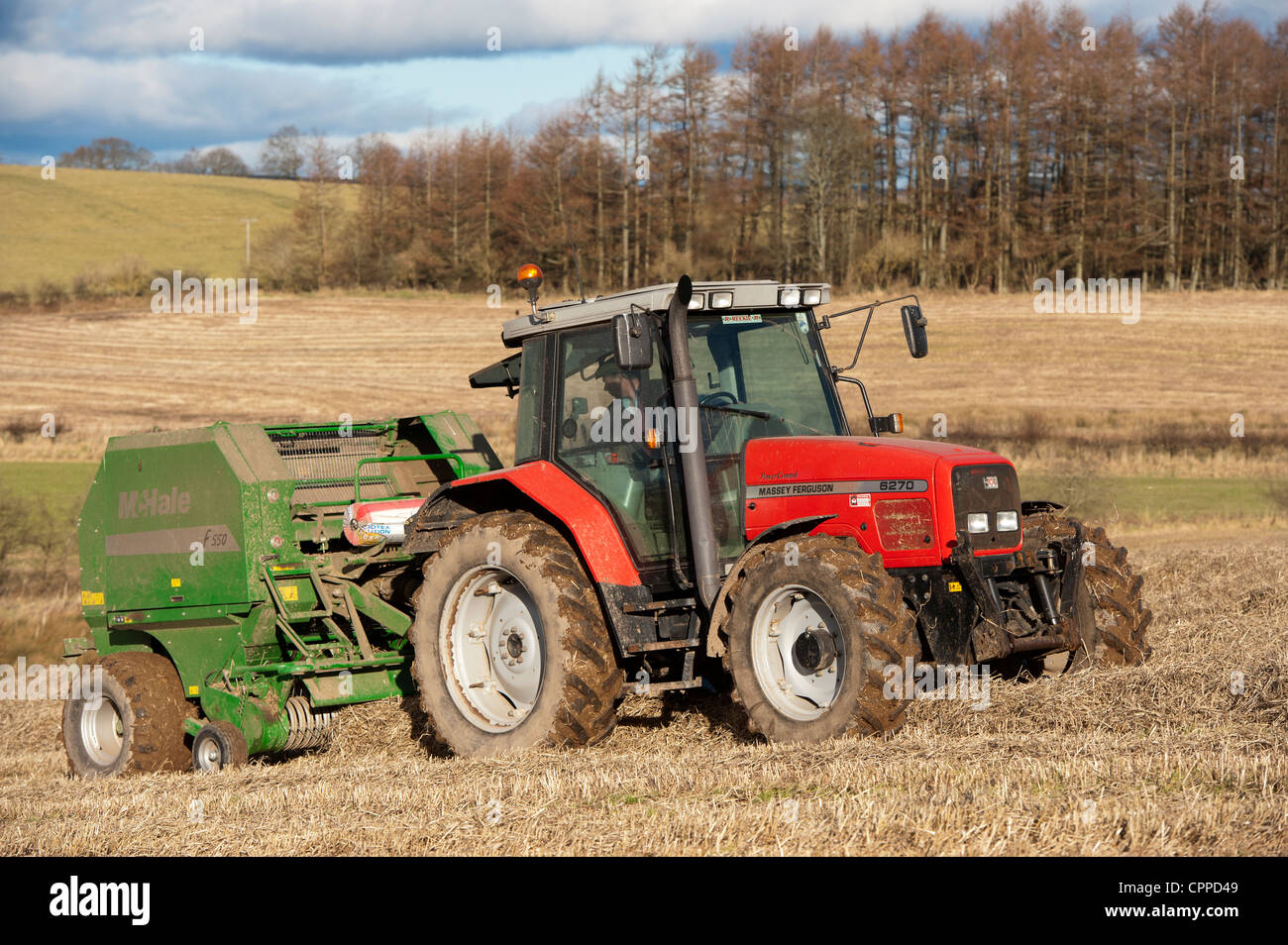 La mise en balles de paille avec McHale et balles rondes tracteur Massey Ferguson. Banque D'Images