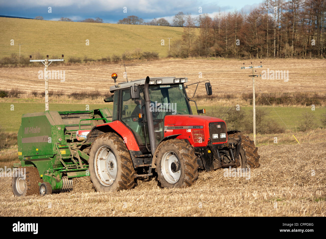 La mise en balles de paille avec McHale et balles rondes tracteur Massey Ferguson. Banque D'Images
