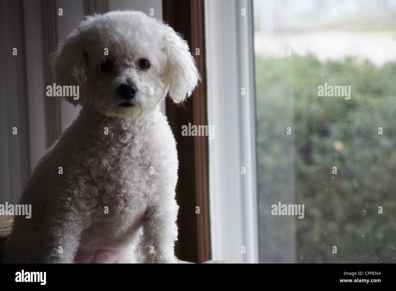 SONY DSC Banque D'Images