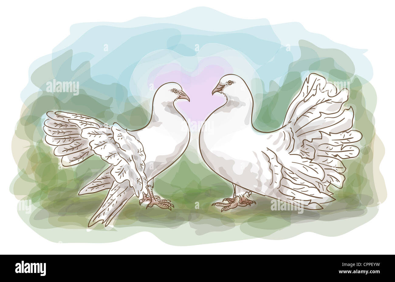 Couple de colombes. L'illustration. Style aquarelle. Banque D'Images