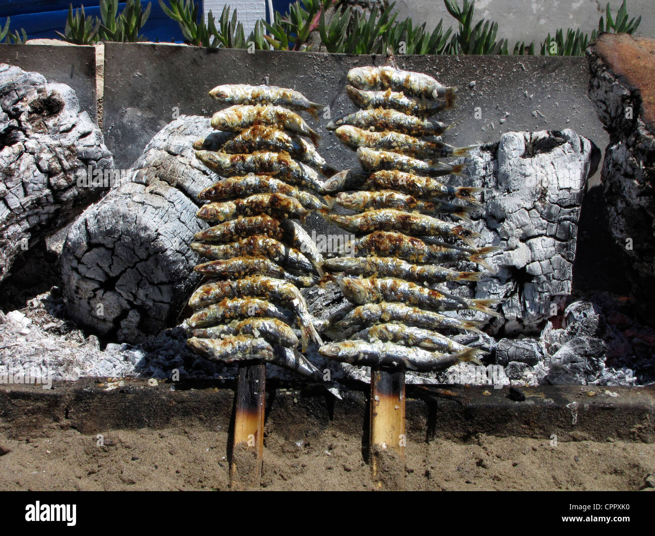 Espagne Andalousie Costa del Sol Marbella un barbecue de poissons Sardine rôti Banque D'Images