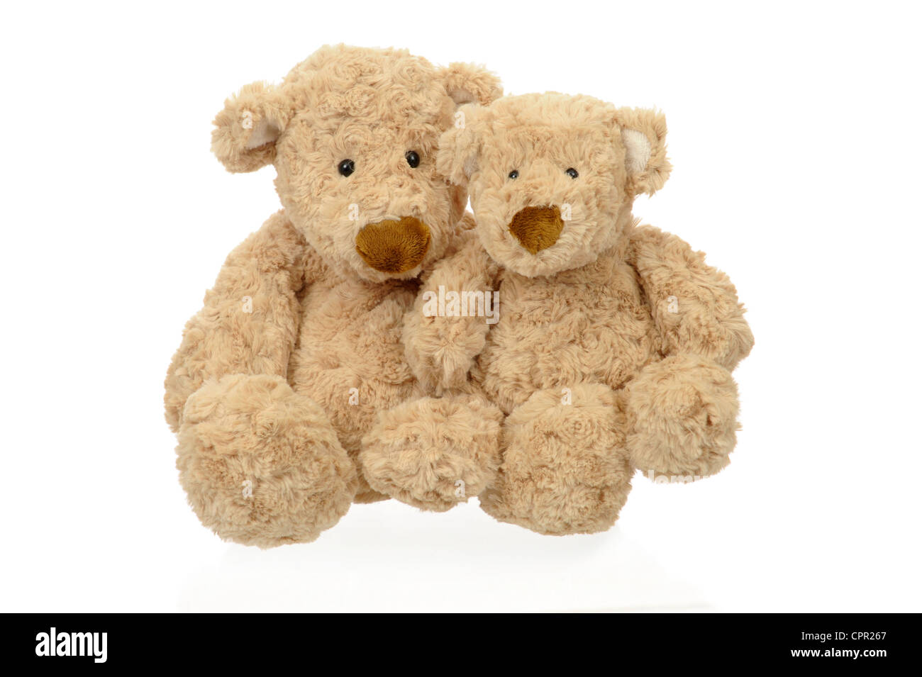 Deux nounours assis ensemble Banque D'Images