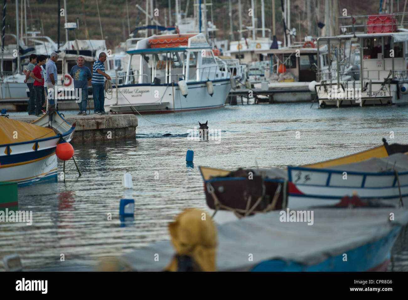 L'nager dans le canal de Gozo Banque D'Images