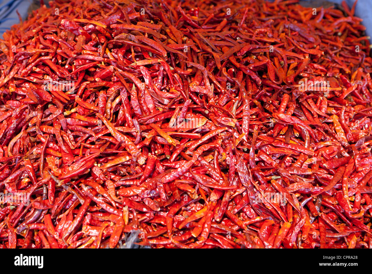 Tas de petits piments rouges Banque D'Images