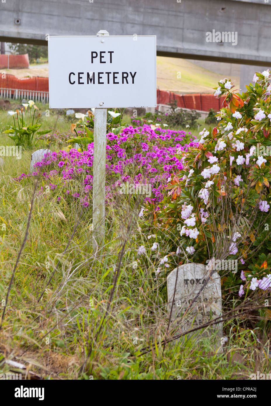 Cimetière pour animaux de signer Banque D'Images