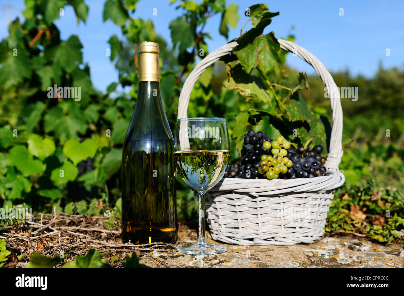 Verre et bouteille de vin et de cépages dans panier Banque D'Images