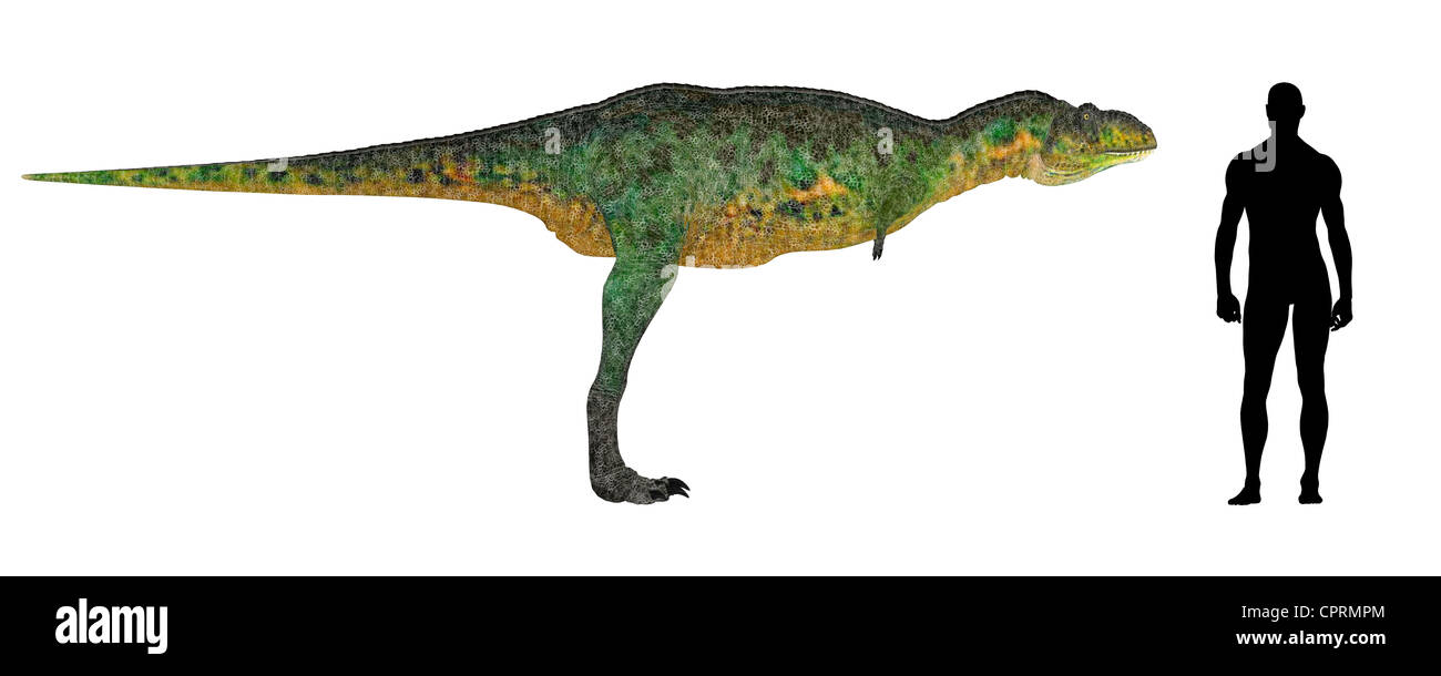 Illustration d'une comparaison de la taille d'un adulte Aucasaurus avec une moyenne des adultes de sexe masculin (1,8 mètres) Banque D'Images
