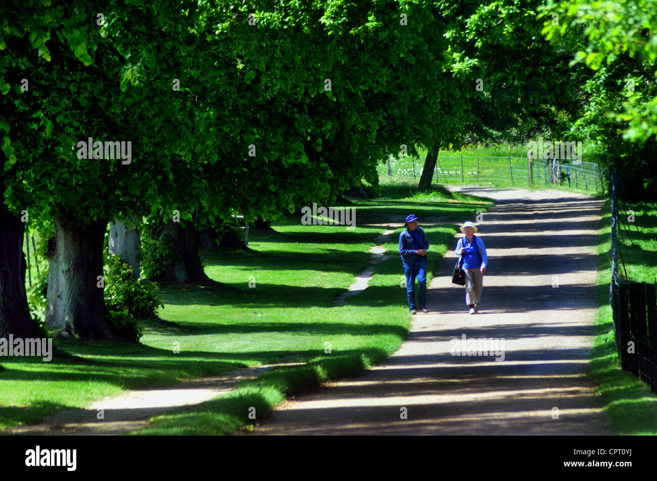 De longues OMBRES SUR LE DISQUE À L'OSBORNE HOUSE, ÎLE DE WIGHT Banque D'Images