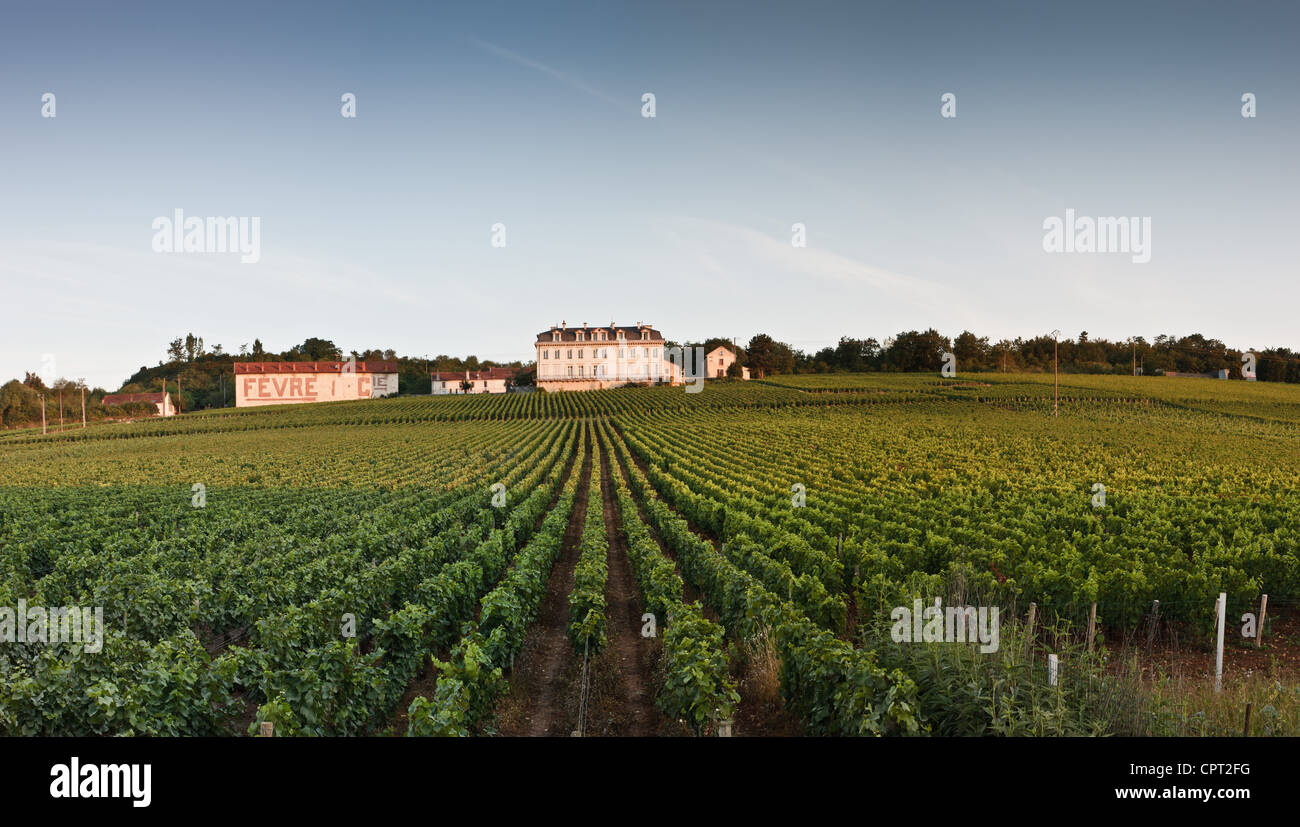 Paysage autour du vignoble de la côte de nuits, Bourgogne, France. Accueil du célèbre grand cru des vins rouges. Banque D'Images