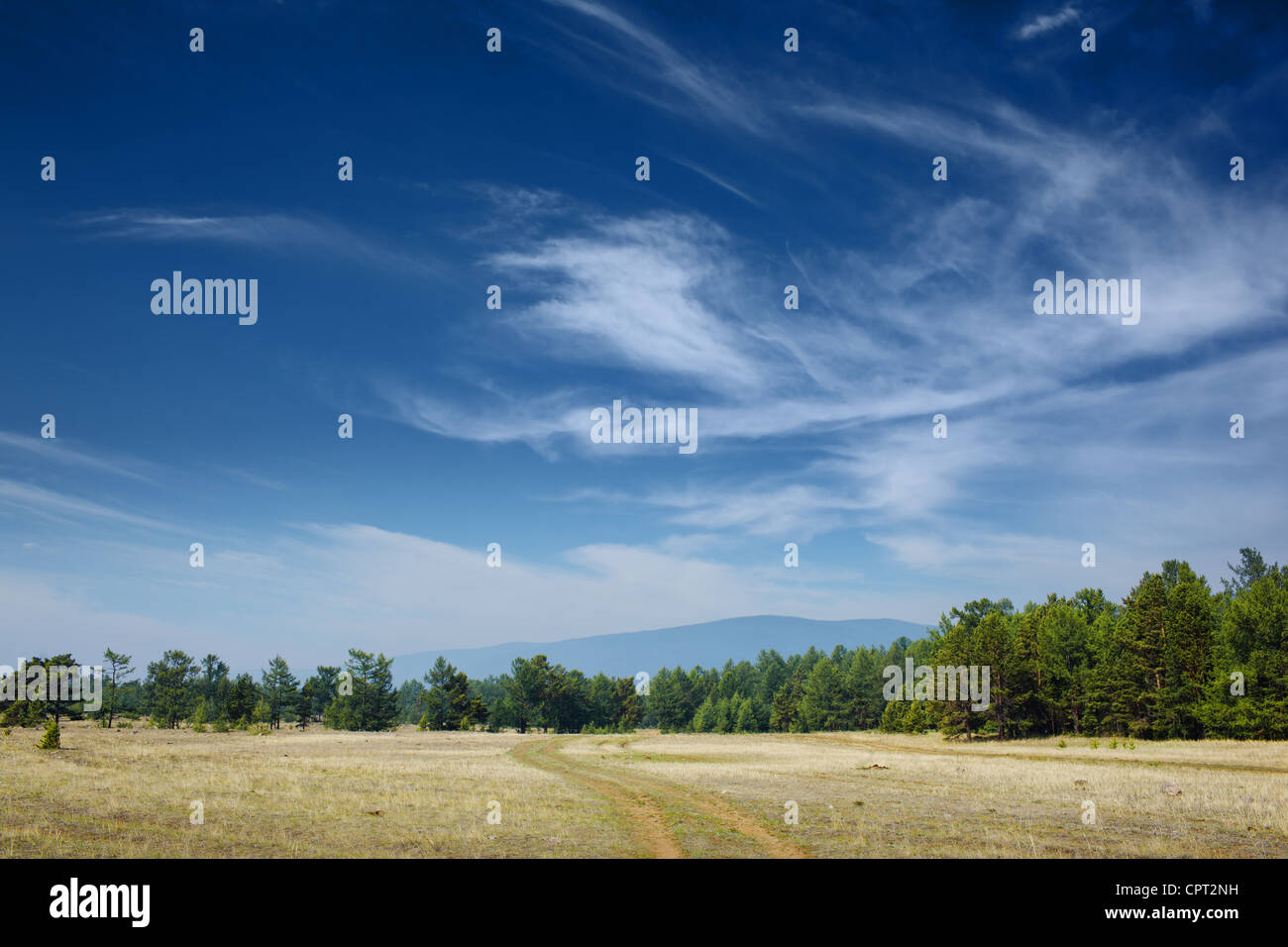 Beau paysage d'été avec ciel bleu. Banque D'Images