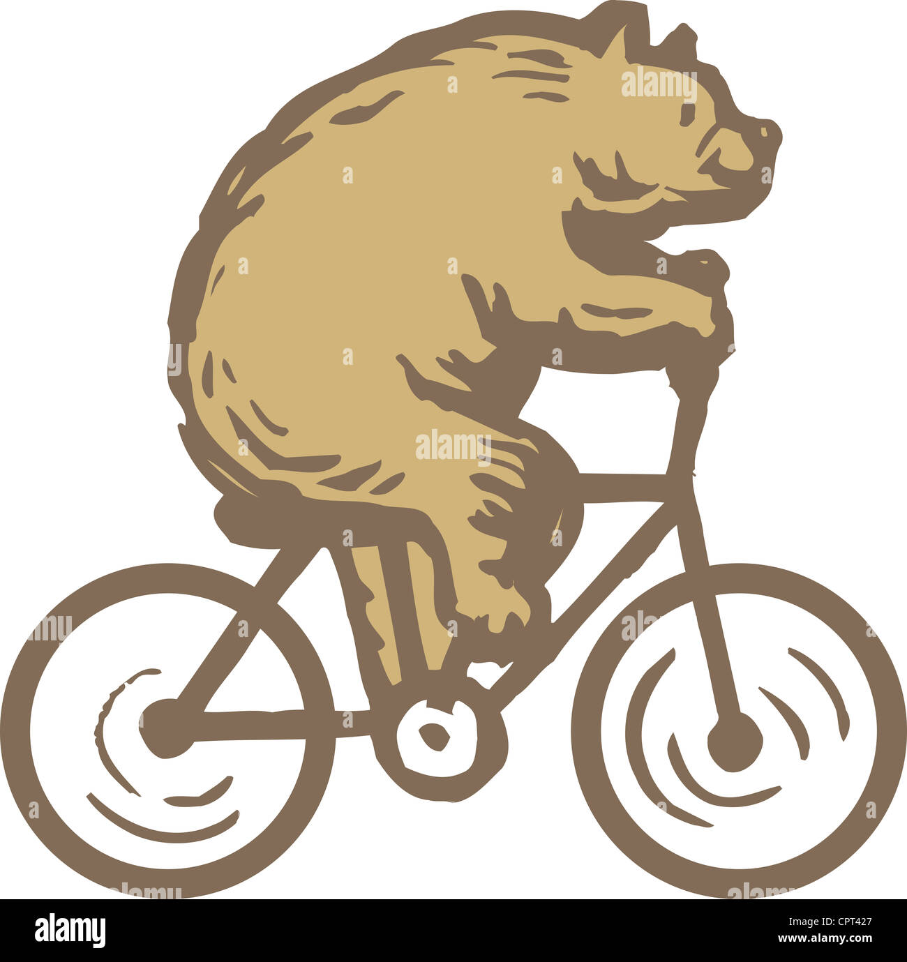 Un ours rouler à vélo Photo Stock - Alamy