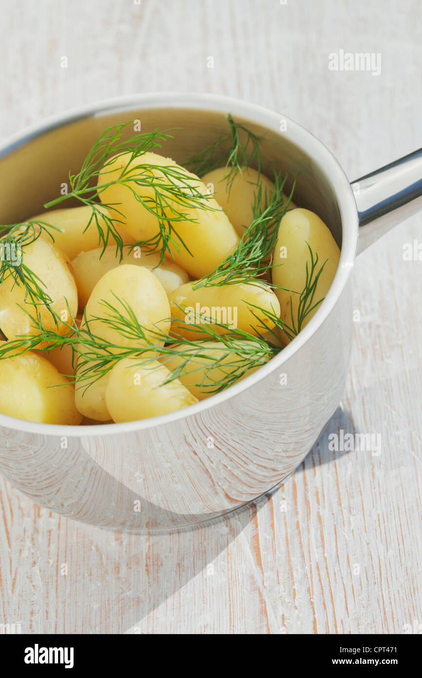 Pommes de terre nouvelles à l'aneth en pot d'acier Banque D'Images