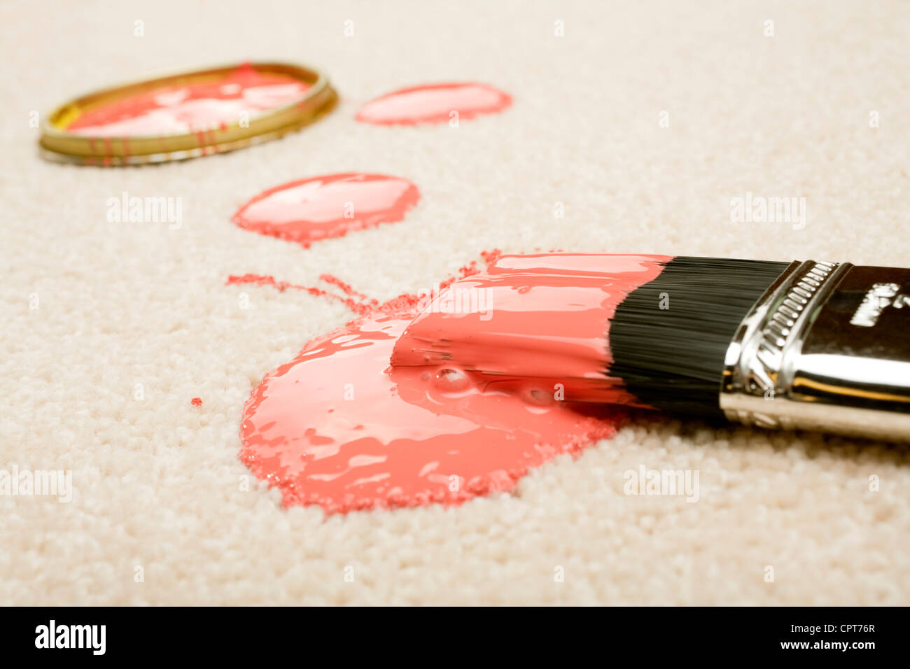 Peinture rose renversée sur le tapis de couleur claire avec un pinceau. Banque D'Images