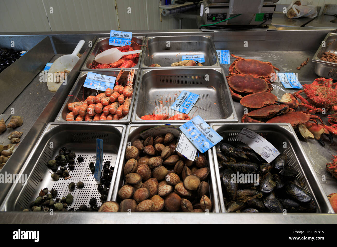 Les crustacés préparés dans le marché d'Honfleur, France. Banque D'Images