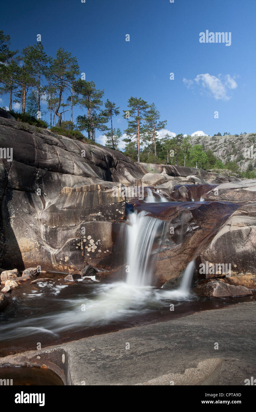 Chutes d'eau à Reinsfoss in Nissedal, Telemark fylke, la Norvège. Banque D'Images