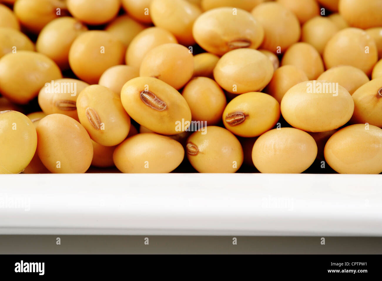 La graine de soja sur une plaque Banque D'Images