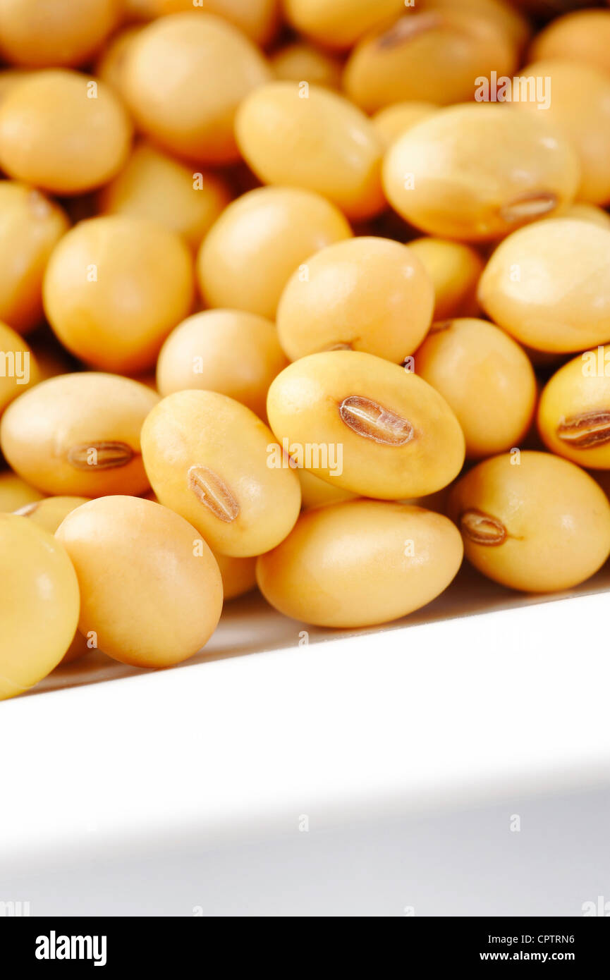 Sur fond de soja Banque D'Images