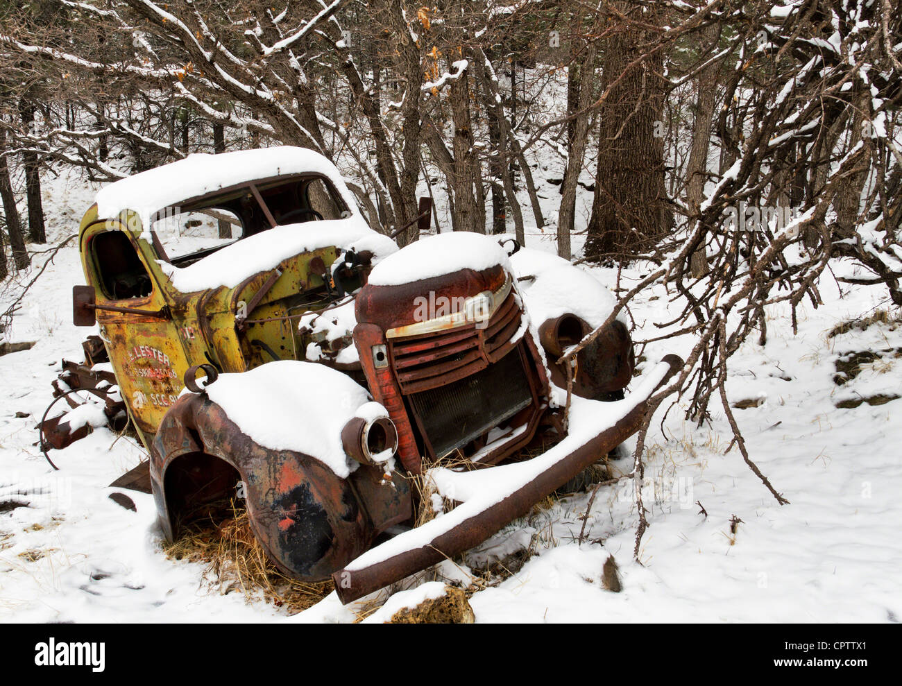 Vieux camion abandonné, couvertes de neige. Banque D'Images